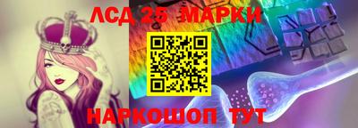 тгк Бердск