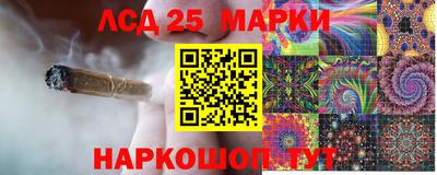 прущие грибы Белорецк