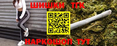 тгк Бердск