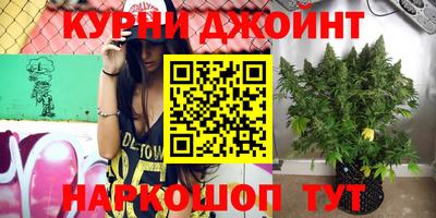 тгк Бердск