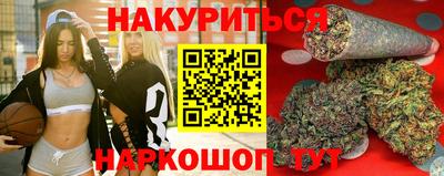 тгк Бердск