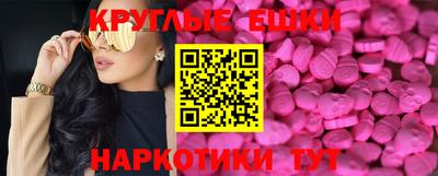 тгк Бердск