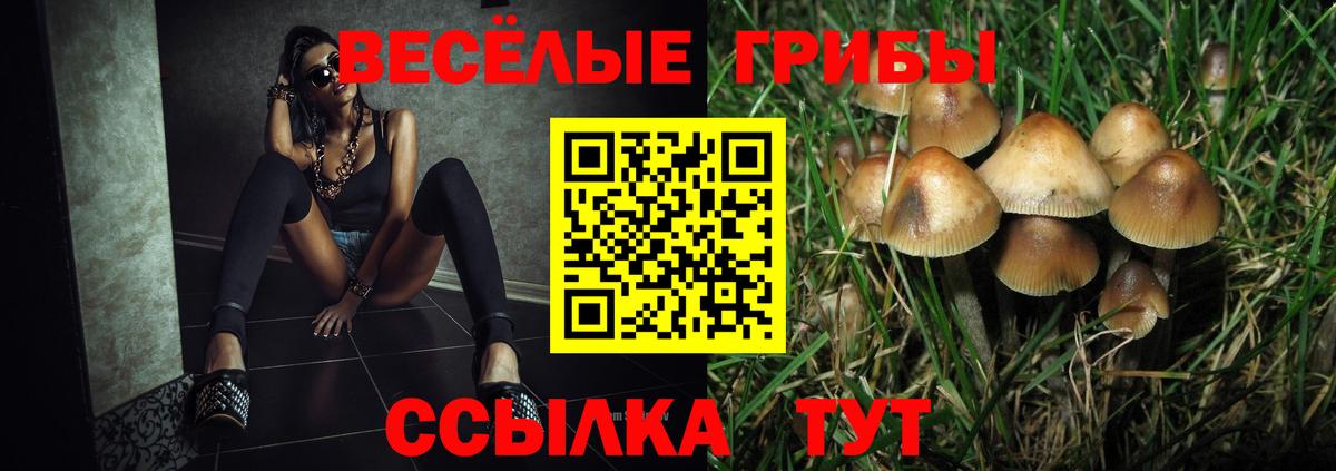 где купить наркоту  Вход с VPN  Сокол  Галлюциногенные грибы мицелий 